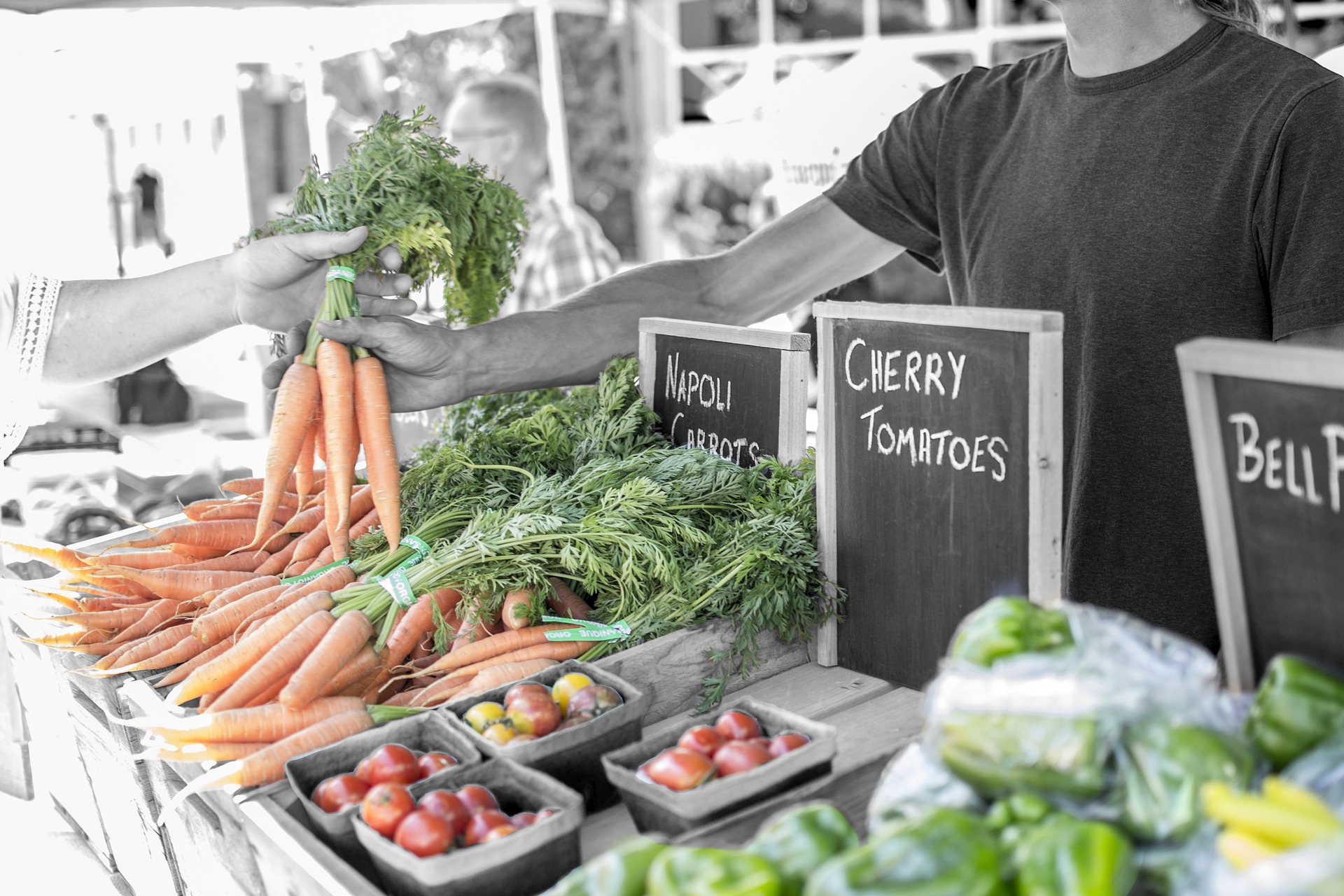 What is a Vendor in Business?
