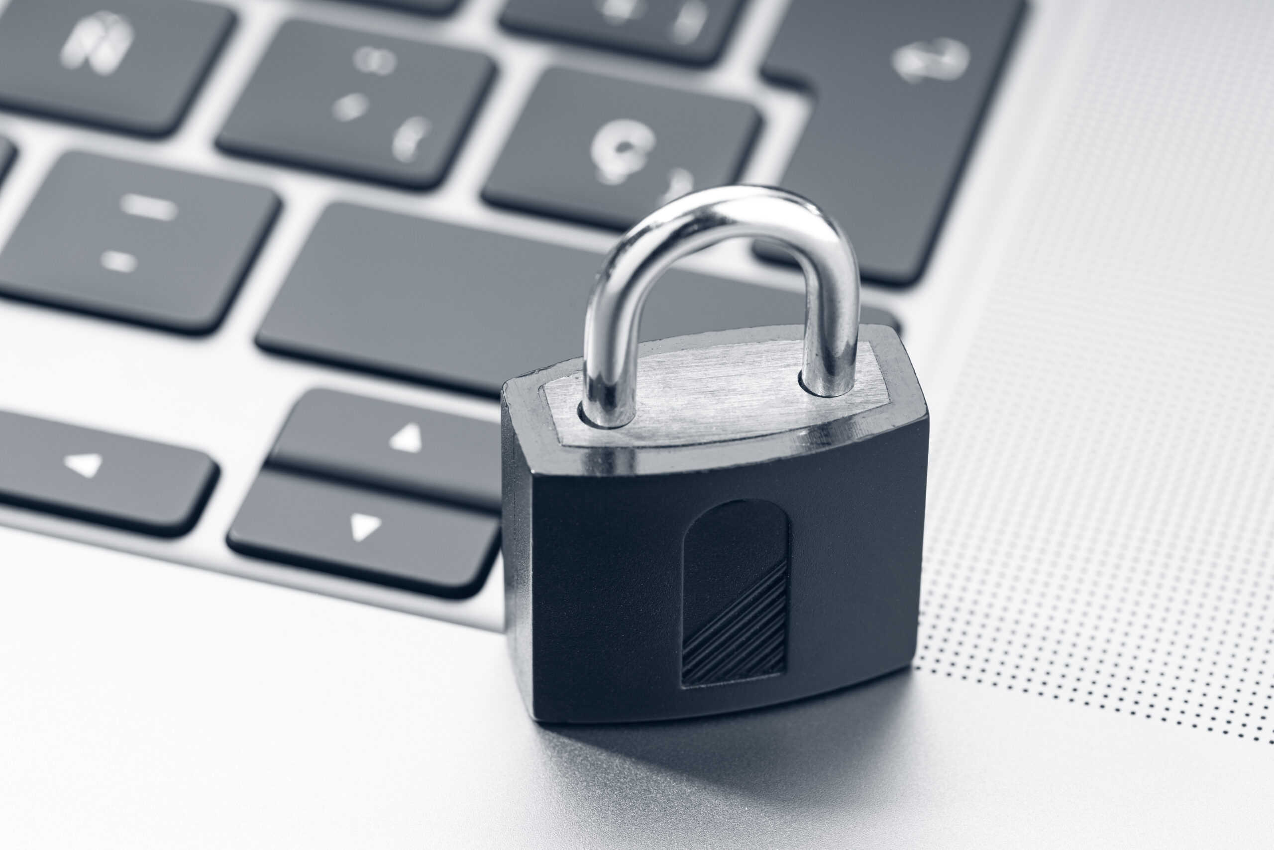 Shipping Data Security: Essential Measures for Import-Export Success